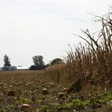 Bart's Farm and Pumpkin Patch photo