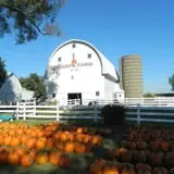 Bart's Farm and Pumpkin Patch photo