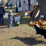 Bart's Farm and Pumpkin Patch photo