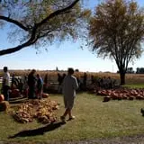 Bart's Farm and Pumpkin Patch photo
