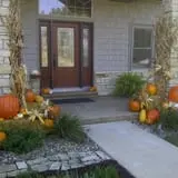 Bart's Farm and Pumpkin Patch photo