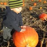 Bart's Farm and Pumpkin Patch photo