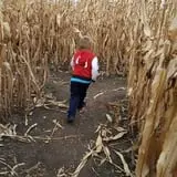 Bart's Farm and Pumpkin Patch photo