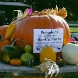 Bart's Farm and Pumpkin Patch photo
