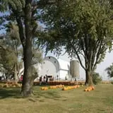 Bart's Farm and Pumpkin Patch photo