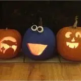 Bart's Farm and Pumpkin Patch photo