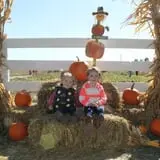 Bart's Farm and Pumpkin Patch photo