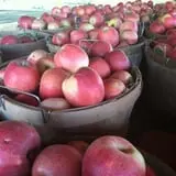 Grammy's Fruit & Produce photo