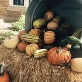 Grammy's Fruit & Produce photo