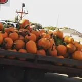 Grammy's Fruit & Produce photo