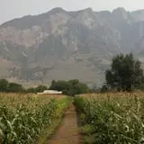 Grammy's Fruit & Produce photo