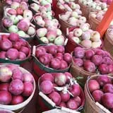 Grammy's Fruit & Produce photo