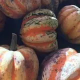 Grammy's Fruit & Produce photo