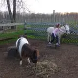 Sun High Orchards photo