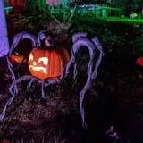 Marylhurst Monster House photo