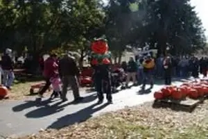 The Lindberg Pumpkin Patch