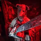 Hollerin Haunts Hayride photo