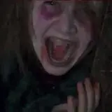 Nightmares at Fairview Manor photo