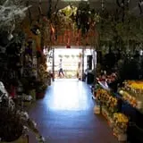 Brooklyn Plantology photo