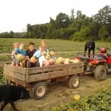 Hinegardner's Orchard photo