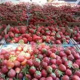 Hinegardner's Orchard photo