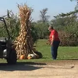 Hinegardner's Orchard photo