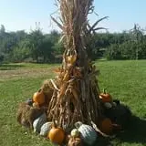 Hinegardner's Orchard photo