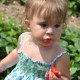Hinegardner's Orchard photo
