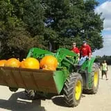 Hinegardner's Orchard photo