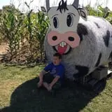 Homewood Farm Corn Maze & Hayride photo