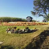 Homewood Farm Corn Maze & Hayride photo