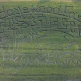 Homewood Farm Corn Maze & Hayride photo