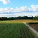 Homewood Farm Corn Maze & Hayride photo