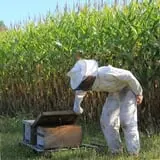 Homewood Farm Corn Maze & Hayride photo