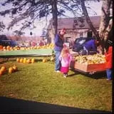 Homewood Farm Corn Maze & Hayride photo