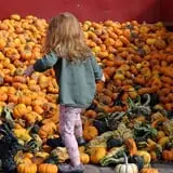Markman Pumpkin Patch photo