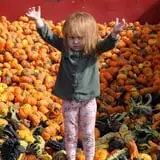 Markman Pumpkin Patch photo