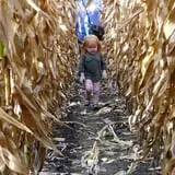 Markman Pumpkin Patch photo