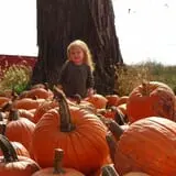 Markman Pumpkin Patch photo