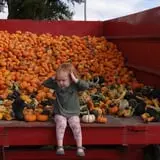 Markman Pumpkin Patch photo