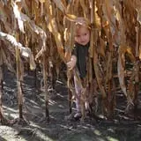 Markman Pumpkin Patch photo