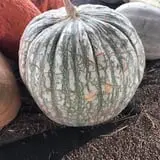Briley's Farm Market photo