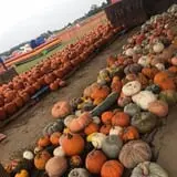 Briley's Farm Market photo