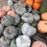 Briley's Farm Market photo