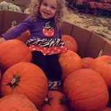 Briley's Farm Market photo