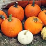 Briley's Farm Market photo