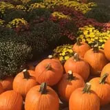Briley's Farm Market photo