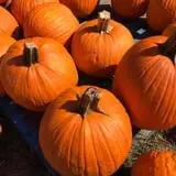 Briley's Farm Market photo