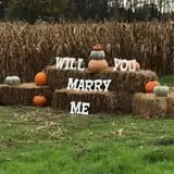 Briley's Farm Market photo