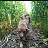 Briley's Farm Market photo